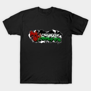 Free Palestine T-Shirt